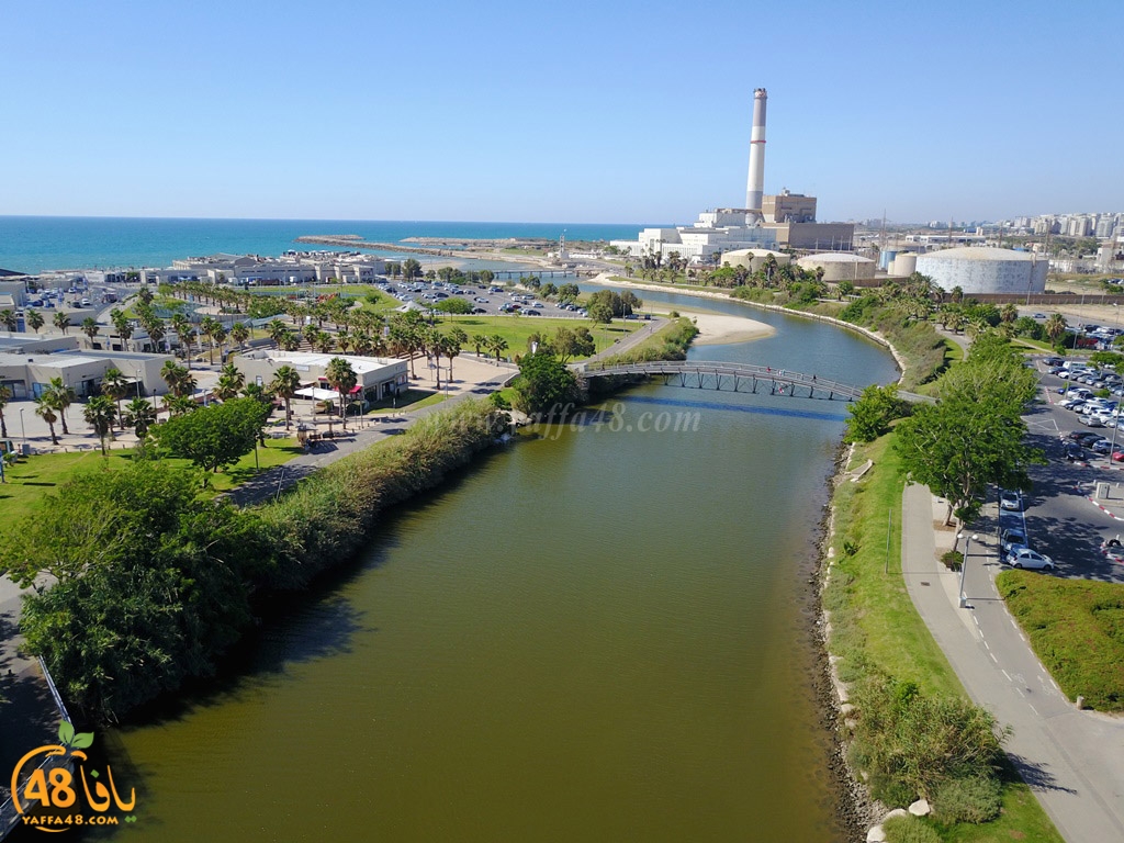 al3oja nahre (4).JPG